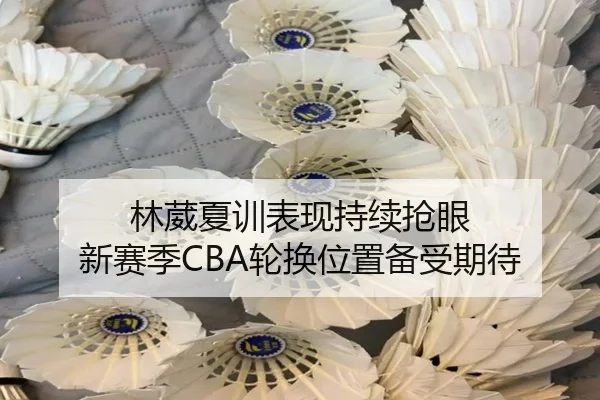 林葳夏训表现持续抢眼 新赛季CBA轮换位置备受期待